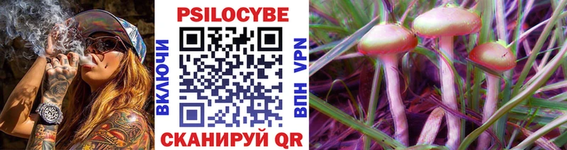 блэк спрут сайт  Печоры  Галлюциногенные грибы Psilocybe 